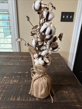 Hobby Lobby Rustic Cotton Stem Bundle in White and Brown
